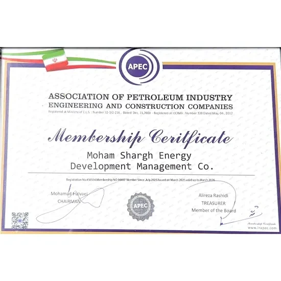 ASSOCIATION OF PETROLEUM INDUSTRY